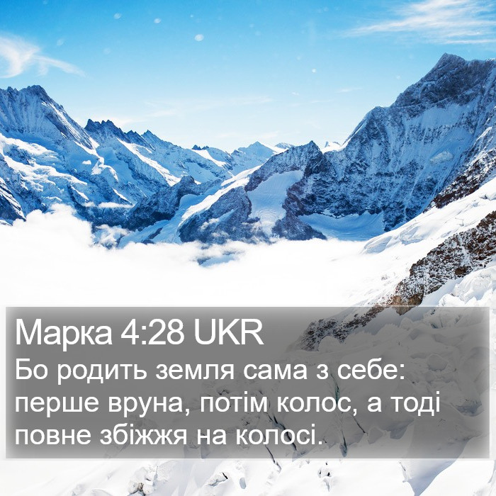 Марка 4:28 UKR Bible Study