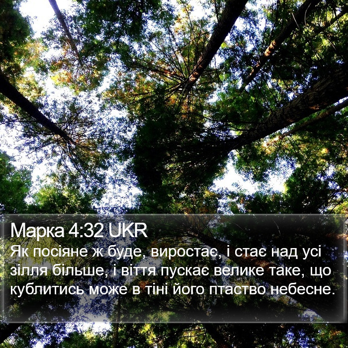 Марка 4:32 UKR Bible Study
