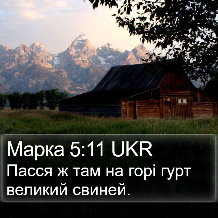 Марка 5:11 UKR Bible Study