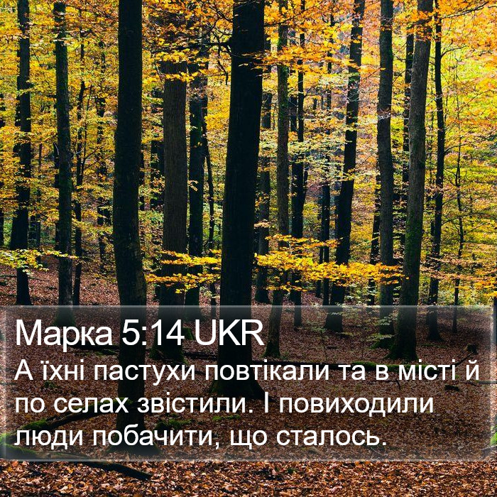 Марка 5:14 UKR Bible Study