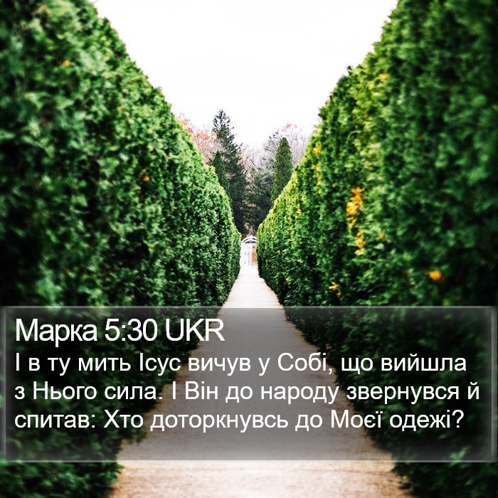 Марка 5:30 UKR Bible Study
