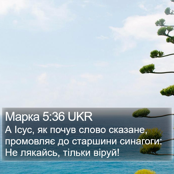 Марка 5:36 UKR Bible Study
