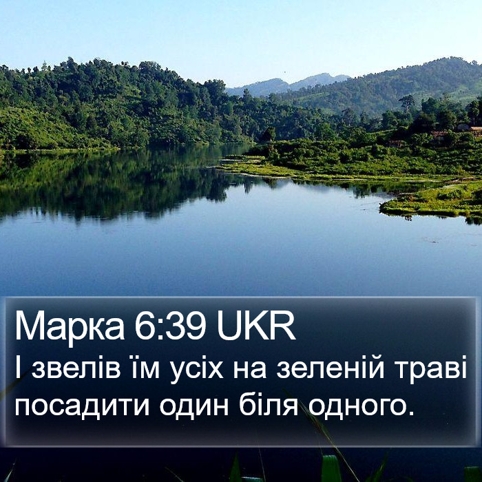 Марка 6:39 UKR Bible Study