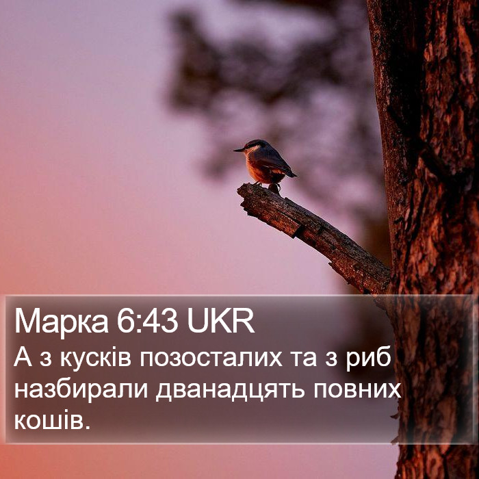 Марка 6:43 UKR Bible Study