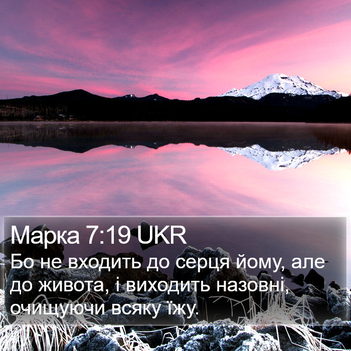 Марка 7:19 UKR Bible Study