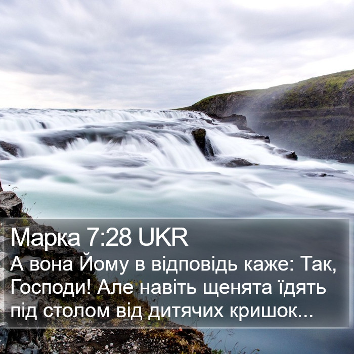 Марка 7:28 UKR Bible Study