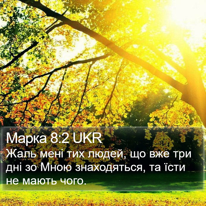 Марка 8:2 UKR Bible Study