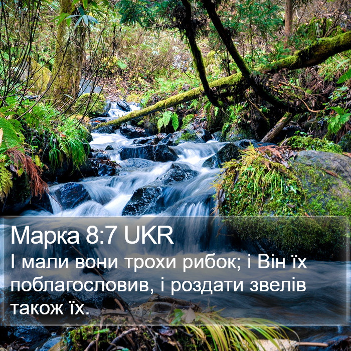 Марка 8:7 UKR Bible Study