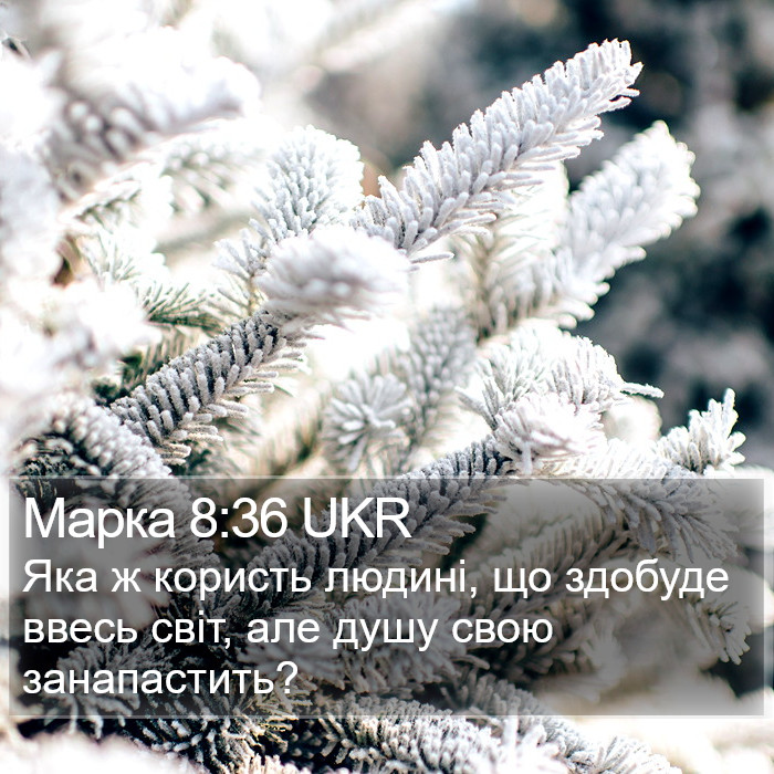 Марка 8:36 UKR Bible Study