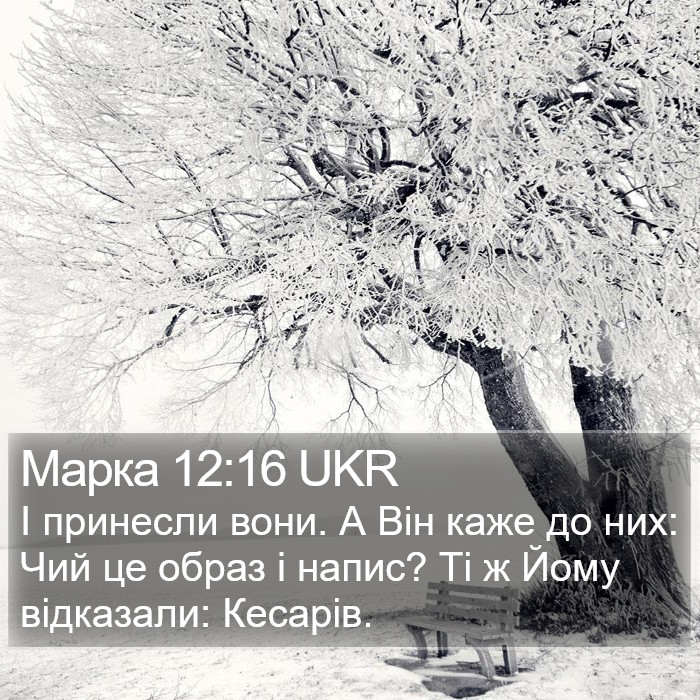 Марка 12:16 UKR Bible Study