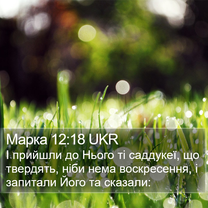 Марка 12:18 UKR Bible Study