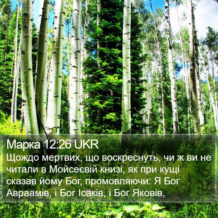 Марка 12:26 UKR Bible Study