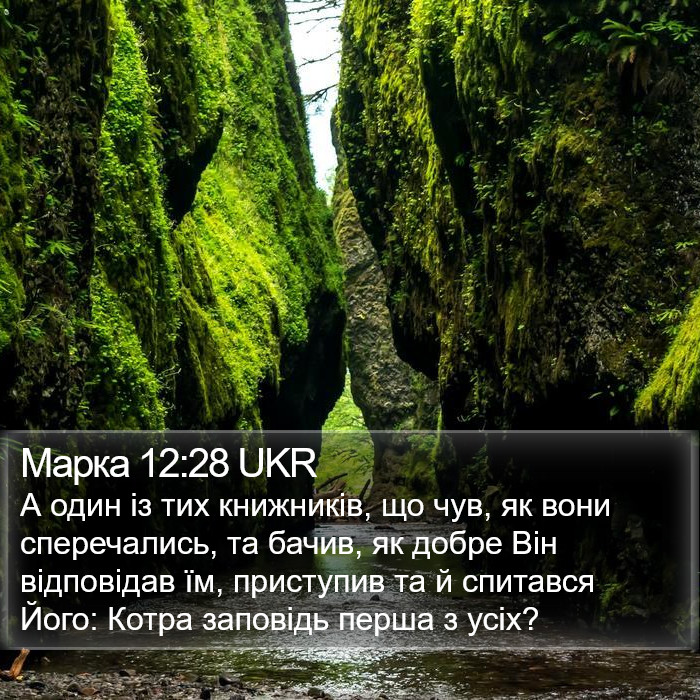 Марка 12:28 UKR Bible Study