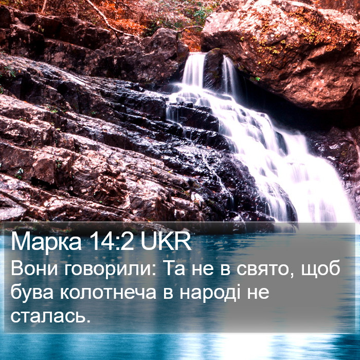 Марка 14:2 UKR Bible Study