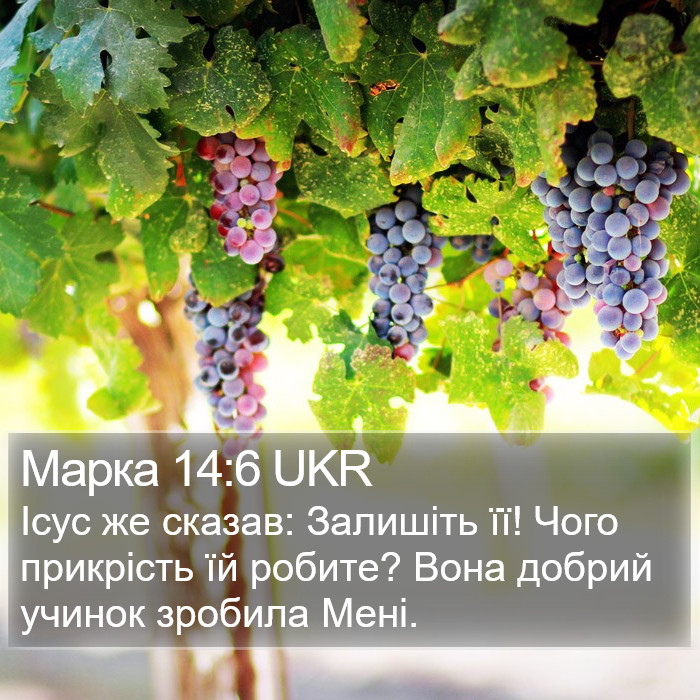 Марка 14:6 UKR Bible Study