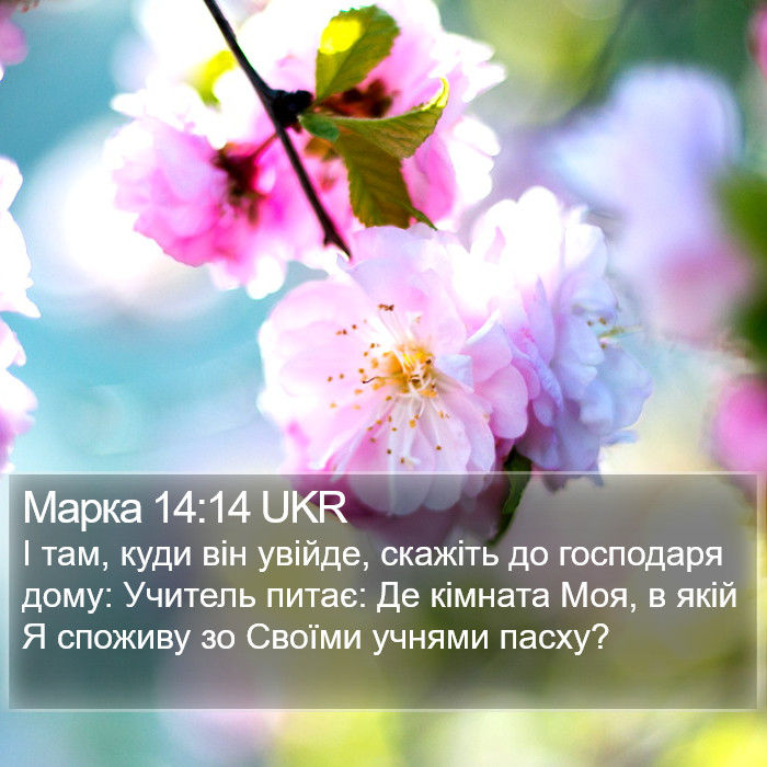 Марка 14:14 UKR Bible Study