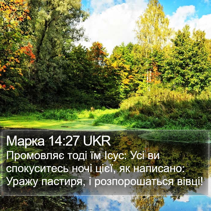 Марка 14:27 UKR Bible Study