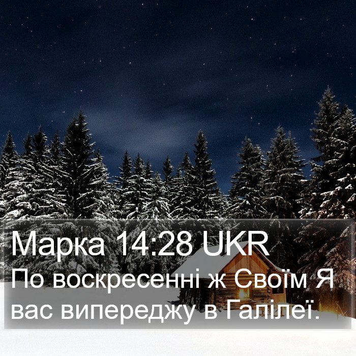 Марка 14:28 UKR Bible Study