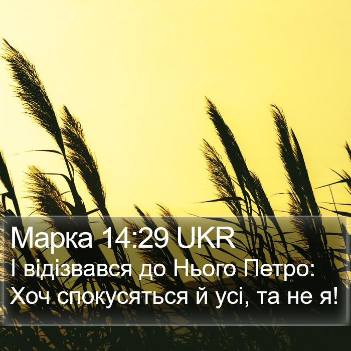 Марка 14:29 UKR Bible Study