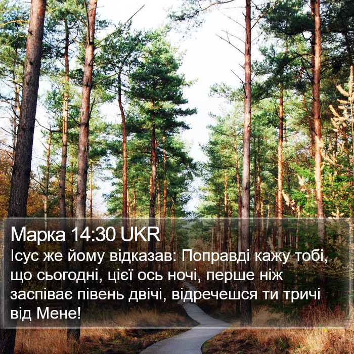 Марка 14:30 UKR Bible Study