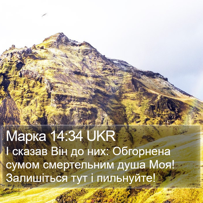 Марка 14:34 UKR Bible Study