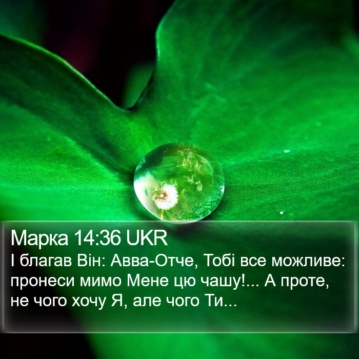 Марка 14:36 UKR Bible Study