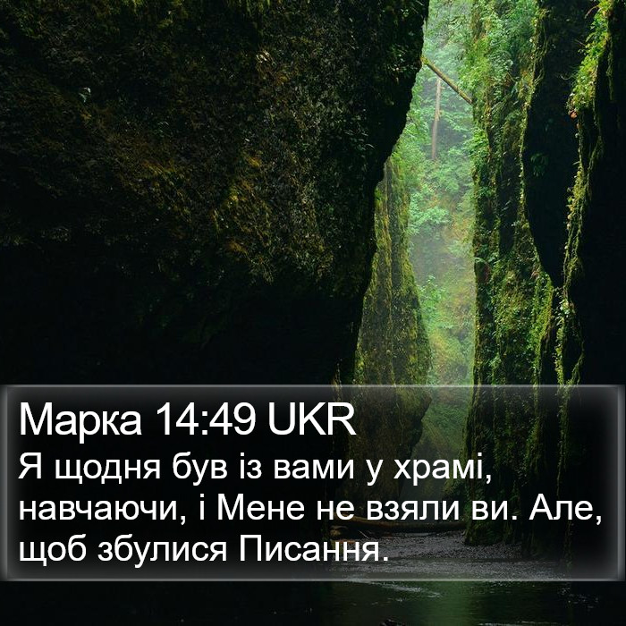 Марка 14:49 UKR Bible Study