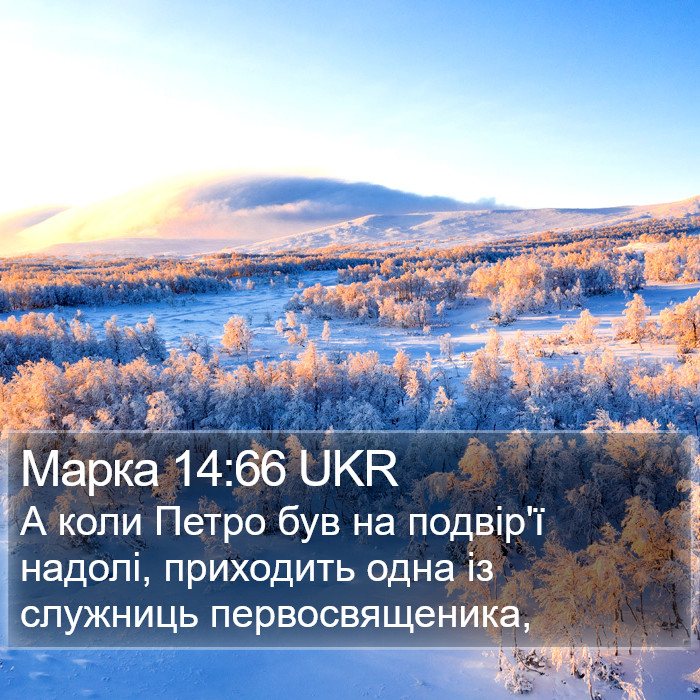 Марка 14:66 UKR Bible Study