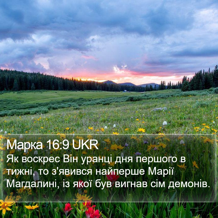 Марка 16:9 UKR Bible Study