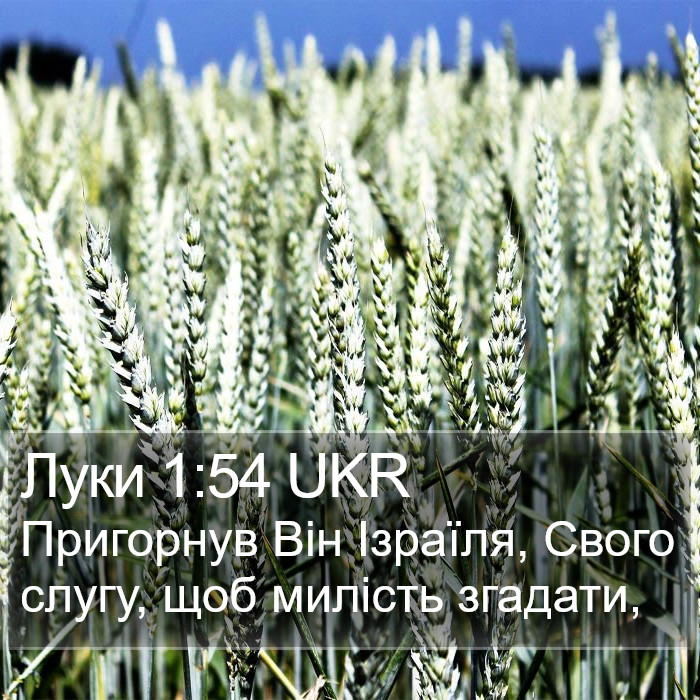 Луки 1:54 UKR Bible Study