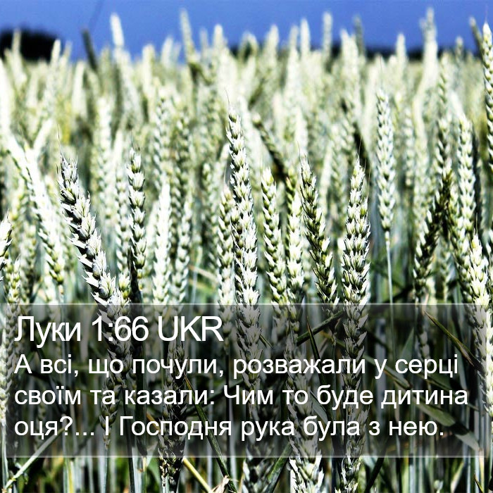 Луки 1:66 UKR Bible Study