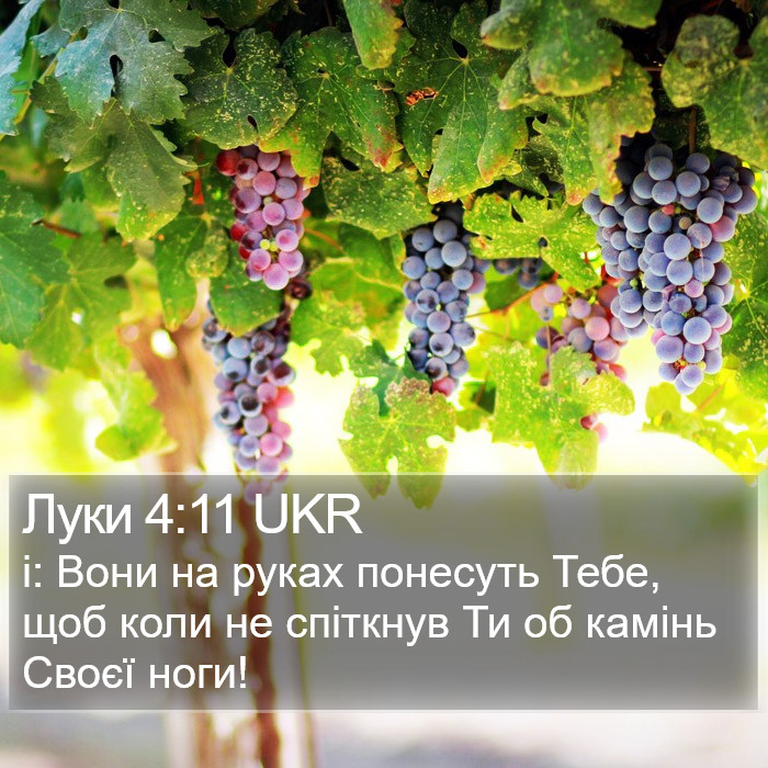 Луки 4:11 UKR Bible Study