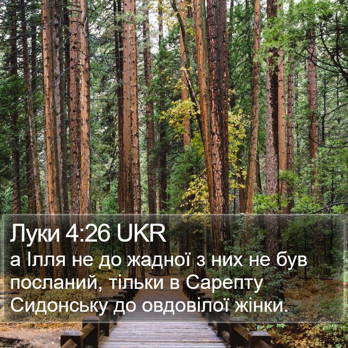 Луки 4:26 UKR Bible Study