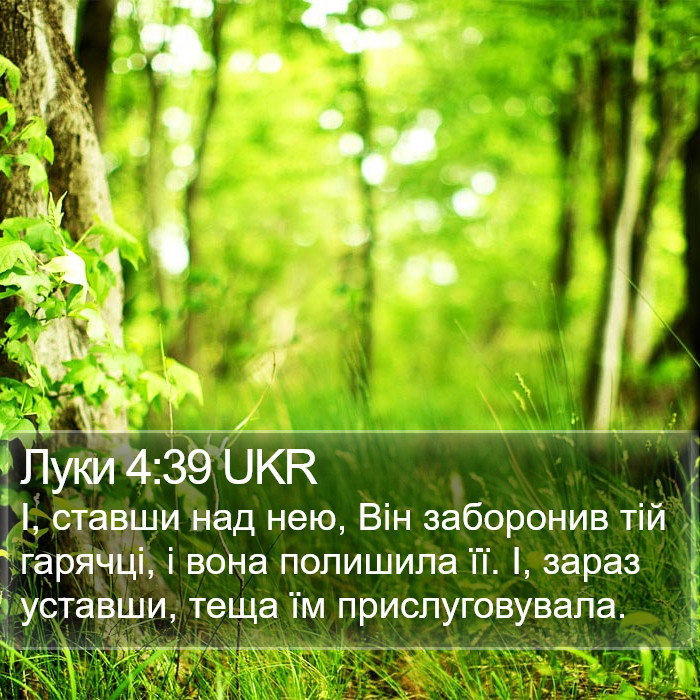Луки 4:39 UKR Bible Study