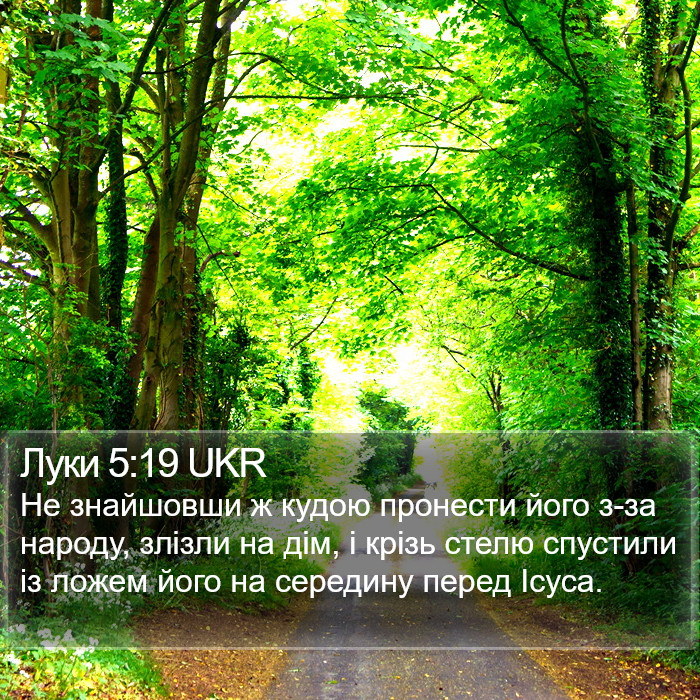 Луки 5:19 UKR Bible Study