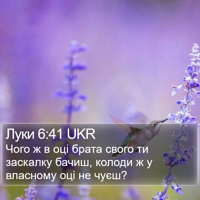 Луки 6:41 UKR Bible Study