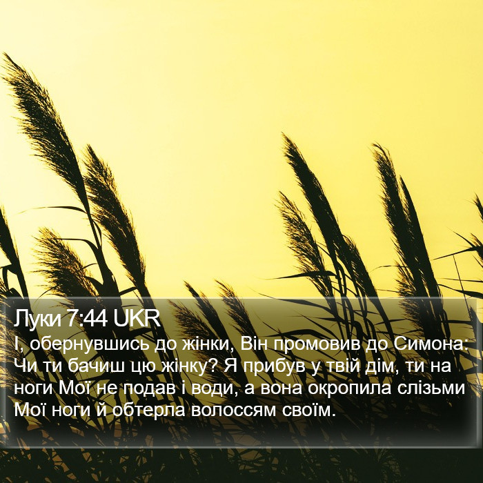 Луки 7:44 UKR Bible Study