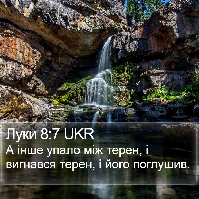Луки 8:7 UKR Bible Study