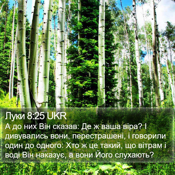 Луки 8:25 UKR Bible Study