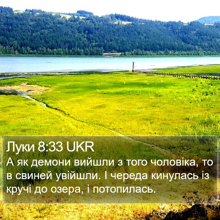 Луки 8:33 UKR Bible Study