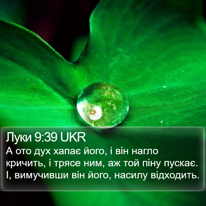 Луки 9:39 UKR Bible Study