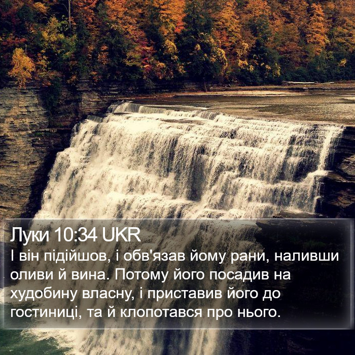 Луки 10:34 UKR Bible Study