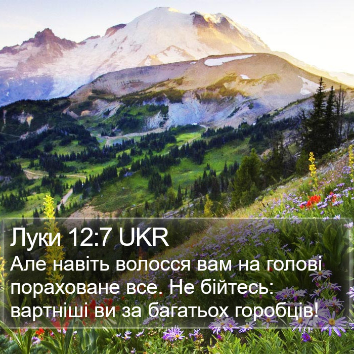 Луки 12:7 UKR Bible Study