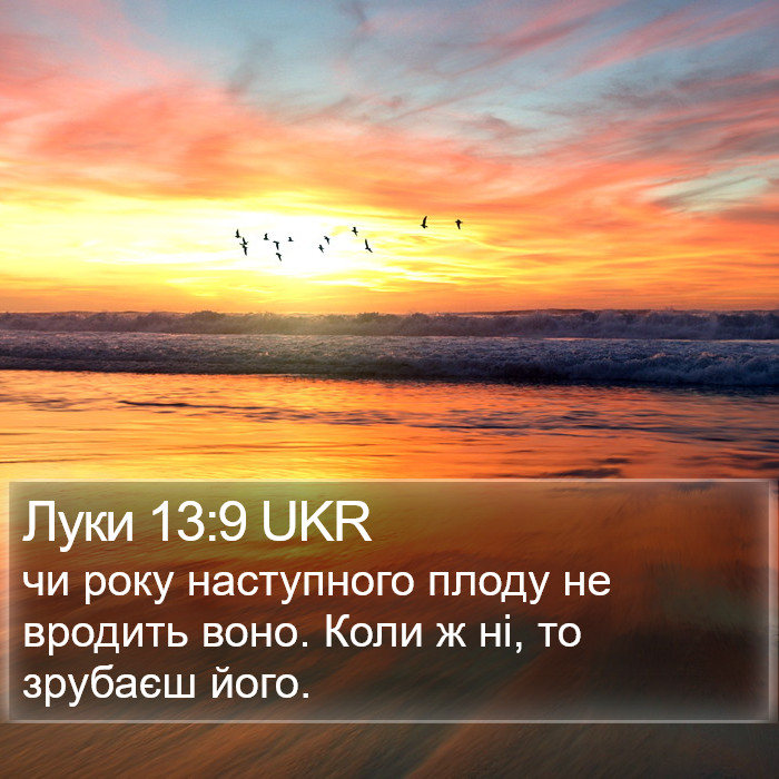 Луки 13:9 UKR Bible Study