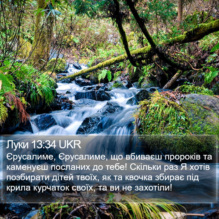 Луки 13:34 UKR Bible Study