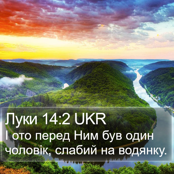 Луки 14:2 UKR Bible Study