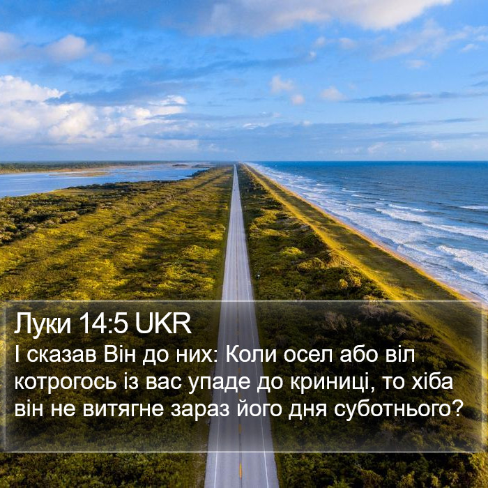 Луки 14:5 UKR Bible Study