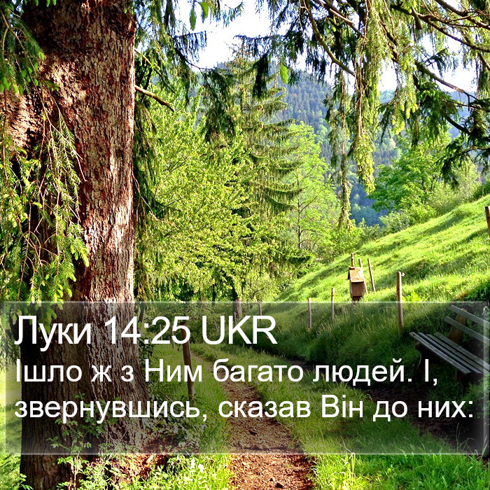 Луки 14:25 UKR Bible Study