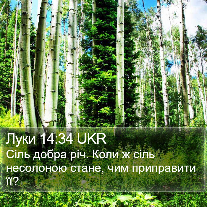 Луки 14:34 UKR Bible Study