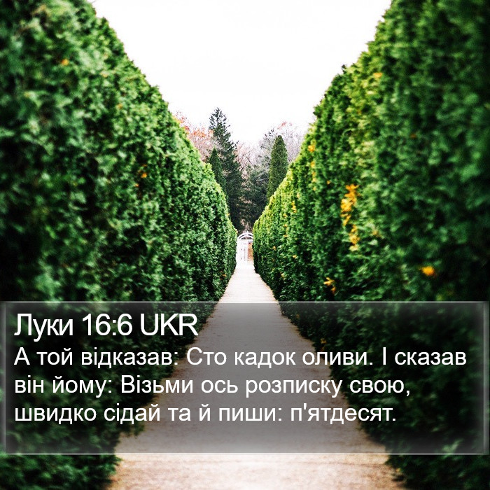 Луки 16:6 UKR Bible Study